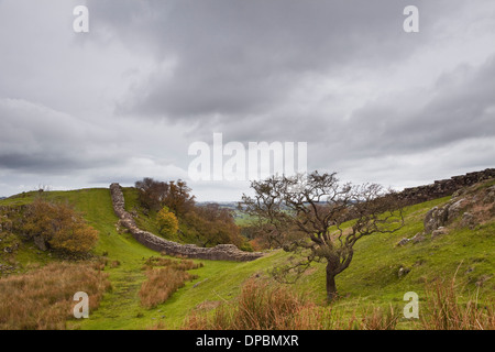 Teil der Hadrianswall in der Landschaft von Northumberland. Stockfoto