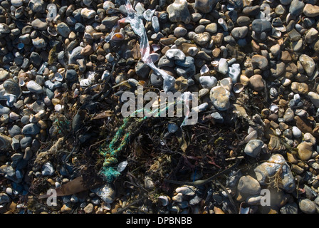 Clearing-Müll vom Strand Stockfoto