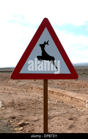 Verkehrszeichen Achtung der Tiere. Fuerteventura, Kanarische Inseln, Spanien. Stockfoto