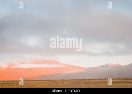 Nebligen Sonnenaufgang über die Dünen der Namib-Naukluft-Nationalpark, Sossusvlei, Namibia, Afrika. Stockfoto