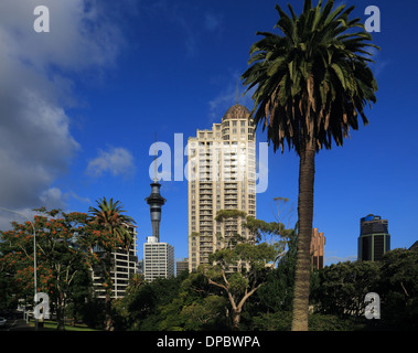 Blick auf den Sky Tower, Sky City vom Albert Park, Auckland, Neuseeland Stockfoto