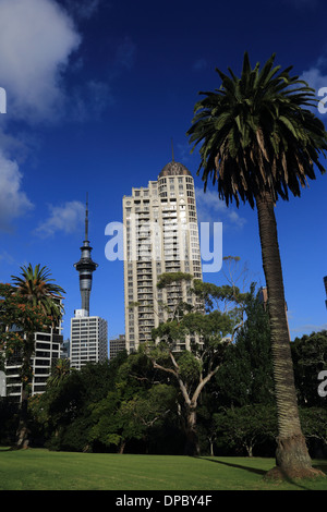 Blick auf den Sky Tower von Albert Park, Auckland, Neuseeland Stockfoto