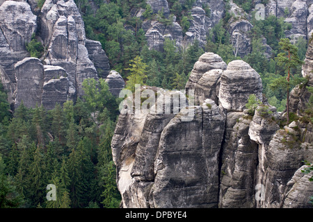 Grasende Kühe auf den Alpen Stockfoto