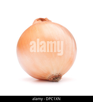 goldene Zwiebel auf weißem Hintergrund Ausschnitt Stockfoto