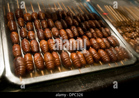 frittierte Seidenraupen auf Spießen an der Wangfujing Snack Street in Chaoyang District, Beijing, China Stockfoto