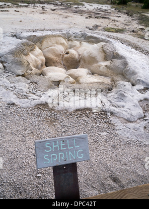 Grotto-Geysir, Upper Geyser Basin im Yellowstone-Nationalpark, Wyoming, USA Stockfoto