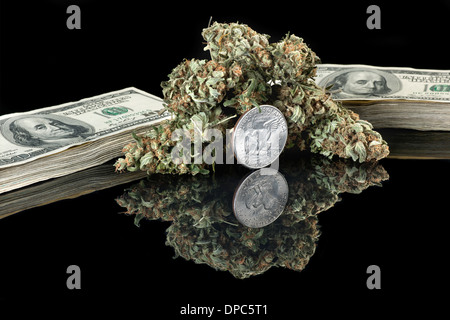 Marihuana Knospen auf einem schwarzen reflektierenden Hintergrund Stockfoto