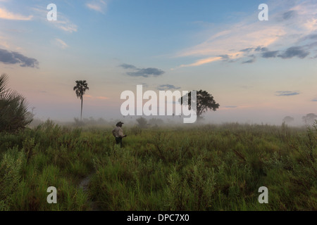 Safari-Guide Studien Feuchtgebiete auf Anzeichen von Wildtieren zu zeigen Touristen, Botswana, Afrika als Sonnenaufgänge und Verbrennungen aus Nebel Stockfoto