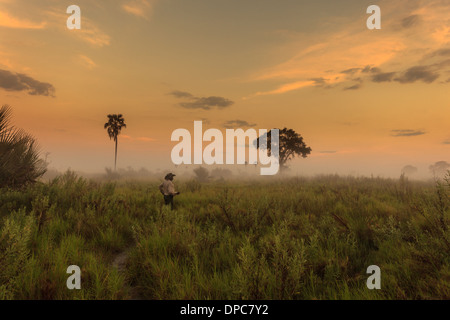 Safari Guide Studien Feuchtgebiete auf Anzeichen von Wildlife Touristen, Botswana, Afrika als Sonnenaufgänge und Nebel verbrennt zu zeigen Stockfoto