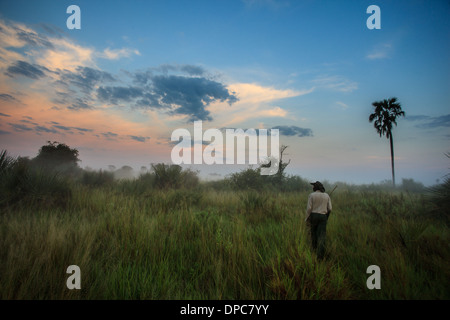 Einheimischer Führer genießt Spaziergang in Feuchtgebieten wie Himmel Farben schnell mit Sonnenaufgang im Okavanga Delta, Botswana, Afrika ändert Stockfoto