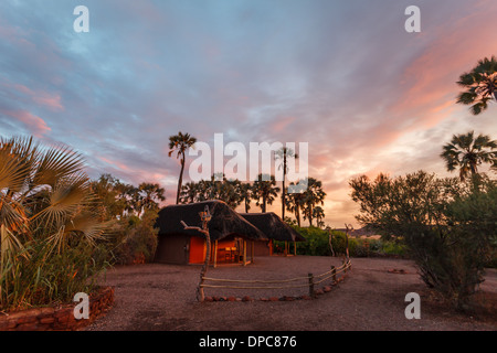 Die Sonne untergeht über einer Oase in der Wüste in Damaraland, Namibia, Afrika und schafft eine wunderschöne pinkfarbene Wolkendecke Stockfoto