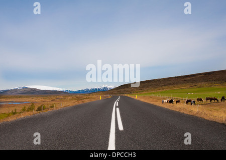 Schöne Bergstraße in Island, mit Gletschern am Horizont Stockfoto