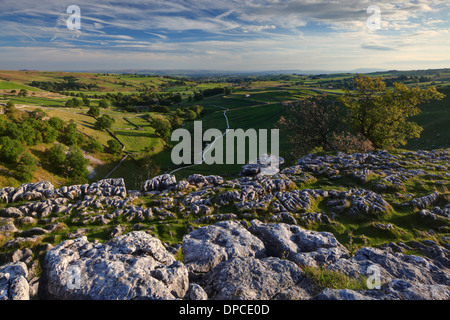 Ende des Sommers Licht aus dem Kalkstein Pflaster Malham Cove in der Yorkshire Dales of England Stockfoto