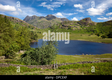 Blea Tarn und die Langdale Pikes, Cumbria, Lake District, Großbritannien Stockfoto