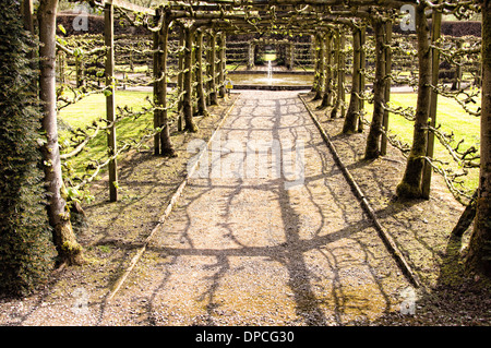 Reflexionen in den Brunnen Garten von Levens Hall in Levens Hall, Heversham, in der Nähe von Kendal, Cumbria, Lake District, England. Stockfoto