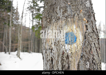 Blauer Punkt markieren Touristenroute mit Holz Teer bedeckt Stockfoto