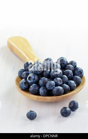 Frische Bio Heidelbeeren in Holzlöffel auf rustikale weißen Hintergrund mit Textfreiraum Stockfoto