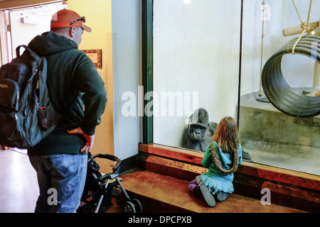 Ein junges Mädchen bezieht sich auf eine Flachlandgorilla im Denver Zoo-Gorilla-habitat Stockfoto