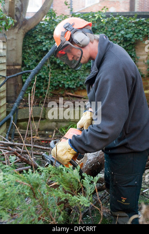 Baumpfleger mit Kettensäge zerschneiden Baum im Garten nach wird durch starke Winde im Winter Stürme England uk gefällt Stockfoto