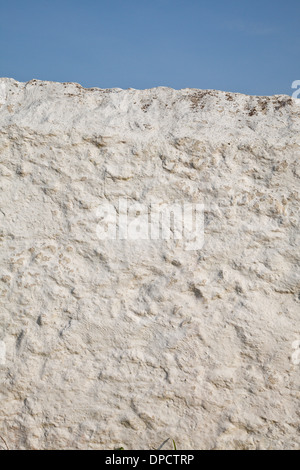 Eine weiß getünchte Gartenmauer und blauer Himmel, Cornwall Stockfoto
