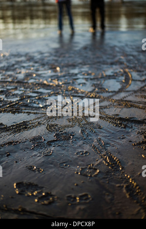 Schlamm am Ufer des Flusses Rhein nach Hochwasser Hochwasser in der Nähe von Karlsruhe Deutschland Stockfoto