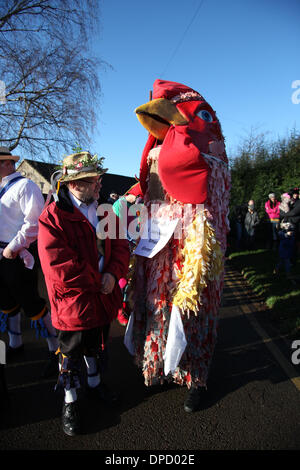 Whittlesey, Cambridgeshire, Großbritannien. 11. Januar 2014.  Ein Huhn. Das Whittlesea Stroh tragen Festival feiert die alte Fenland Pflug Brauch paradieren Stroh Bären rund um die Stadt jedes Jahr im Januar. Die Prozession, angeführt von dem Stroh Bären hat über 250 Tänzer, Musiker und Performer. Sie führen traditionelle Molly, Morris, verstopfen und Schwert tanzen. Bild: Paul Marriott Fotografie/Alamy Live-Nachrichten Stockfoto