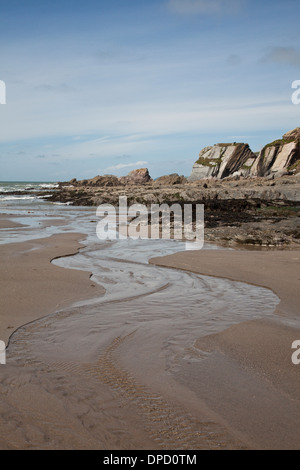 Der Strand und Felsen an der Ayrmer Bucht, Devon, England, UK Stockfoto