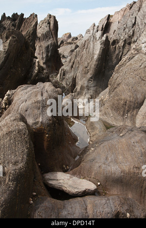 Skulpturale Felsen am Ayrmer Cove, Devon, England, UK Stockfoto
