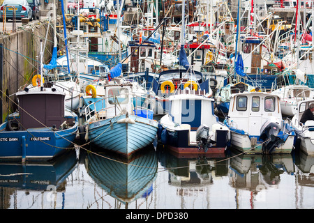 Angelboote/Fischerboote in einer Linie vor Anker und verpackt nebeneinander in Greencastle Hafen am Lough Foyle, Nordirland Stockfoto