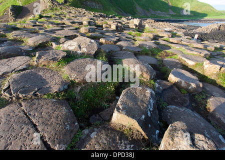 Einen weiten Blick über die Basaltsäulen, aus denen sich die Welt berühmten Giants Causeway in County Antrim und Küste in der Nähe. Stockfoto