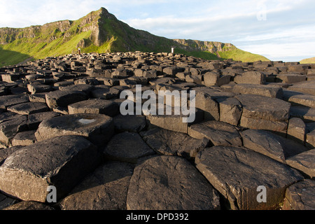 Einen weiten Blick über die Basaltsäulen, aus denen sich die Welt berühmten Giants Causeway in County Antrim und Küste in der Nähe. Stockfoto