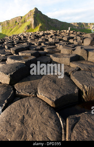 Einen weiten Blick über die Basaltsäulen, aus denen sich die Welt berühmten Giants Causeway in County Antrim und Küste in der Nähe. Stockfoto