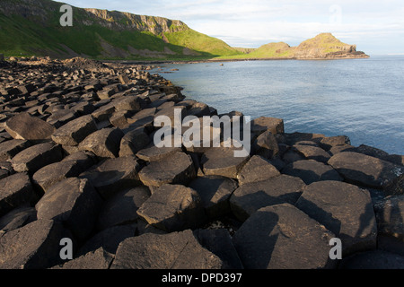 Einen weiten Blick über die Basaltsäulen, aus denen sich die Welt berühmten Giants Causeway in County Antrim und Küste in der Nähe. Stockfoto