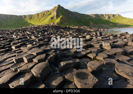 Einen weiten Blick über die Basaltsäulen, aus denen sich die Welt berühmten Giants Causeway in County Antrim und Küste in der Nähe. Stockfoto