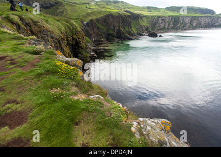 Betrachtet man den Blick entlang der Antrim Küste aus gesehen Carrickarede Insel eine Denkmalschutz-Immobilie in Nordirland. Stockfoto