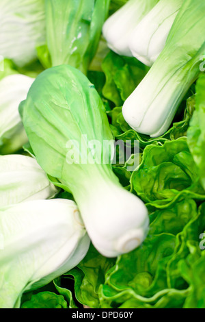 Frisches Gemüse in den Regalen Stockfoto