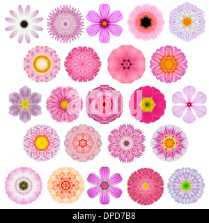 Riesige Auswahl an verschiedenen bunten Kaleidoskop Mandala-Blumen, Isolated on White. Große Sammlung von Blumen in konzentrisch Stockfoto