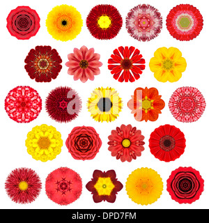 Riesige Auswahl an verschiedenen bunten Kaleidoskop Mandala-Blumen, Isolated on White. Große Sammlung von Blumen in konzentrisch Stockfoto