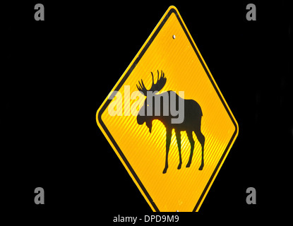 Moose Crossing Straßenschild Stockfoto