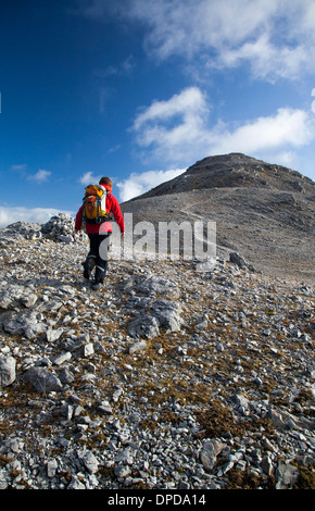 Walker auf der nordwestlichen Schulter Benbaun, Twelve Bens, Connemara, County Galway, Irland. Stockfoto