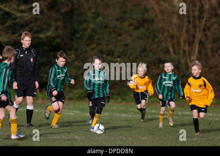 Hartley Wintney Falken junior Football Team (gelb) spielen Curley Park Rangers in einem Jugendfußball in Hampshire 14.12.13 übereinstimmen Stockfoto