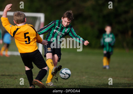 Hartley Wintney Falken junior Football Team (gelb) spielen Curley Park Rangers in einem Jugendfußball in Hampshire 14.12.13 übereinstimmen Stockfoto