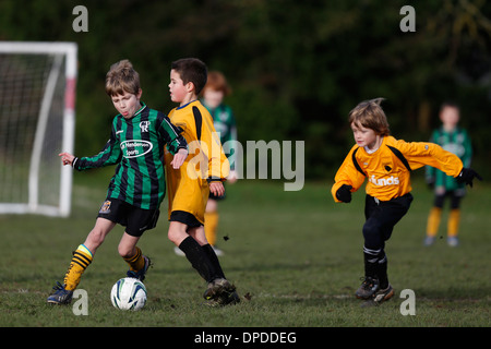 Hartley Wintney Falken junior Football Team (gelb) spielen Curley Park Rangers in einem Jugendfußball in Hampshire 14.12.13 übereinstimmen Stockfoto