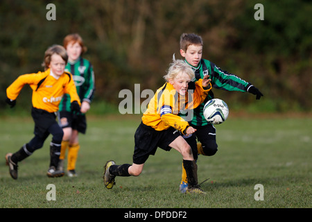 Hartley Wintney Falken junior Football Team (gelb) spielen Curley Park Rangers in einem Jugendfußball in Hampshire 14.12.13 übereinstimmen Stockfoto