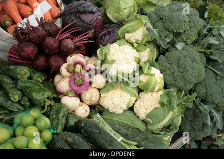 Frisch-Markt Gemüse wie Brokkoli, Blumenkohl, rote Beete und Paprika zum Verkauf an die outdoor-Food in Otavalo, Ecuador Stockfoto