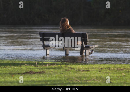 Sunbury Surrey, UK. 13. Januar 2014. Eine Frau sitzt auf einer Bank, die teilweise im Wasser untergetaucht ist. Die Environment Agency erteilt Hochwasserwarnungen für Teile der Themse weitere Überschwemmungen über das Wochenende Kredit zu rechnen ist: Amer Ghazzal/Alamy Live-Nachrichten Stockfoto