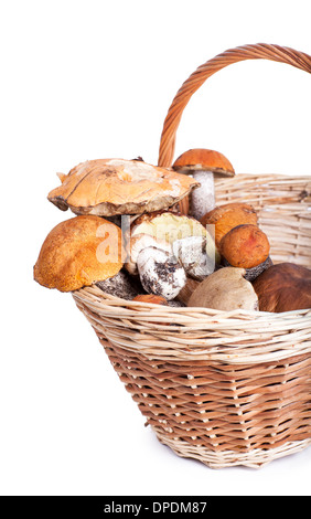 Korb mit verschiedenen Pilzen aus Wald, Closeup auf weißem Hintergrund Stockfoto