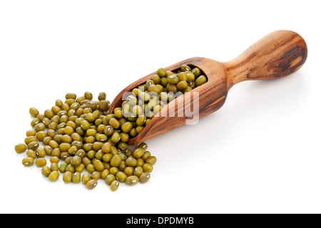 Rohe Mungobohnen in hölzerne Schaufel auf weißem Hintergrund Stockfoto