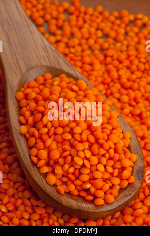 Rote Linsen auf Holzlöffel auf rote Linsensuppe Hintergrund Stockfoto