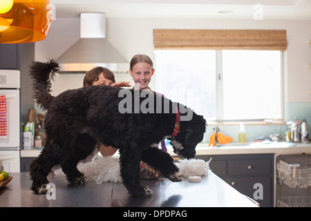 Mutter und Tochter spielen mit Hund auf Küchentisch Stockfoto